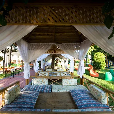 Lonicera World أفسالاّر