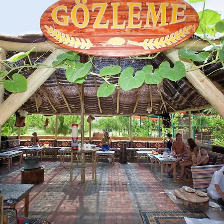 Lonicera World Avsallar