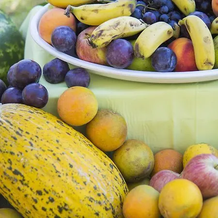 Ośrodek wypoczynkowy Lonicera World 4*