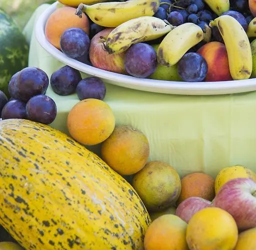 منتجع Lonicera World 4*