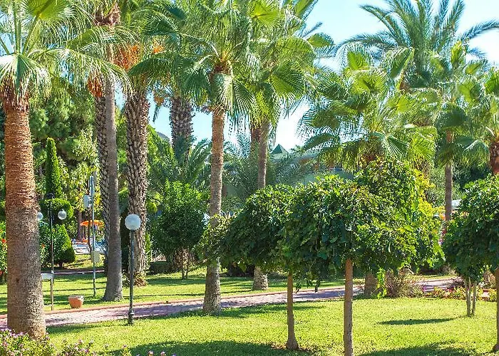 Lonicera World منتجع أفسالاّر