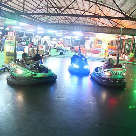 Lonicera World Avsallar