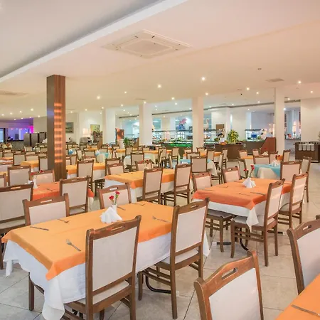 Lonicera World Avsallar